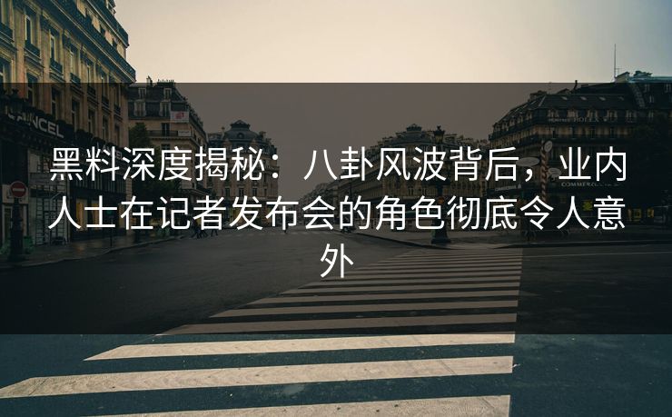 黑料深度揭秘：八卦风波背后，业内人士在记者发布会的角色彻底令人意外