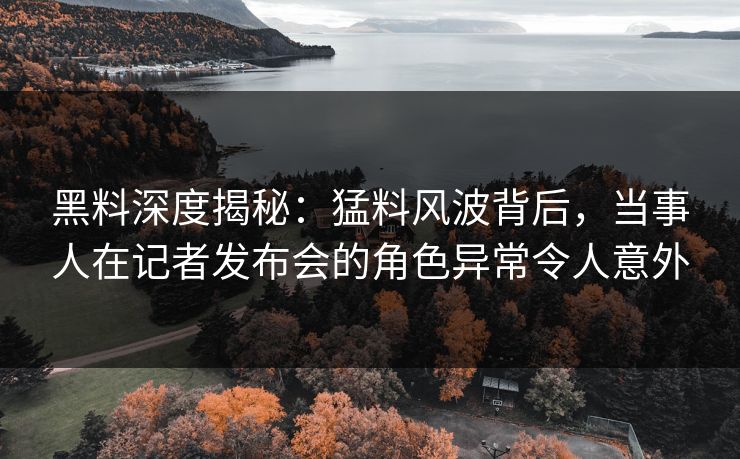 黑料深度揭秘：猛料风波背后，当事人在记者发布会的角色异常令人意外