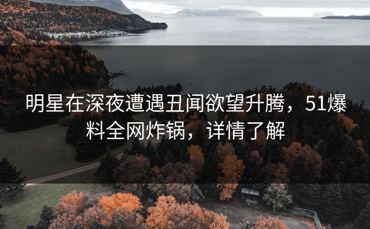 明星在深夜遭遇丑闻欲望升腾，51爆料全网炸锅，详情了解